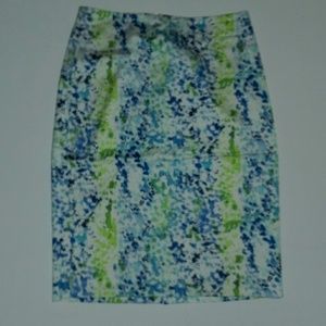 Ann Taylor Pencil skirt NWOT